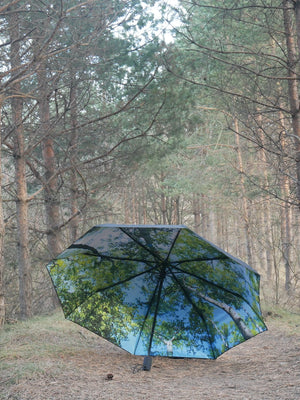 HappySweeds Umbrella Forest - Cloudberry Living
