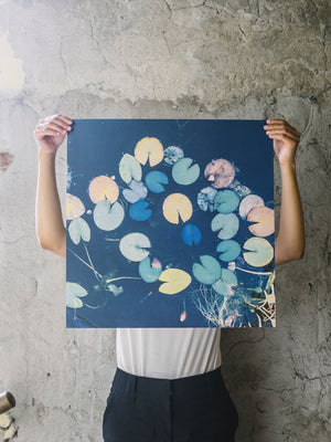 Fine Little Day Water Lilies Poster - Cloudberry Living