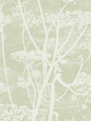 Cole & Son Icons Cow Parsley  8026 - 8030 - Cloudberry Living