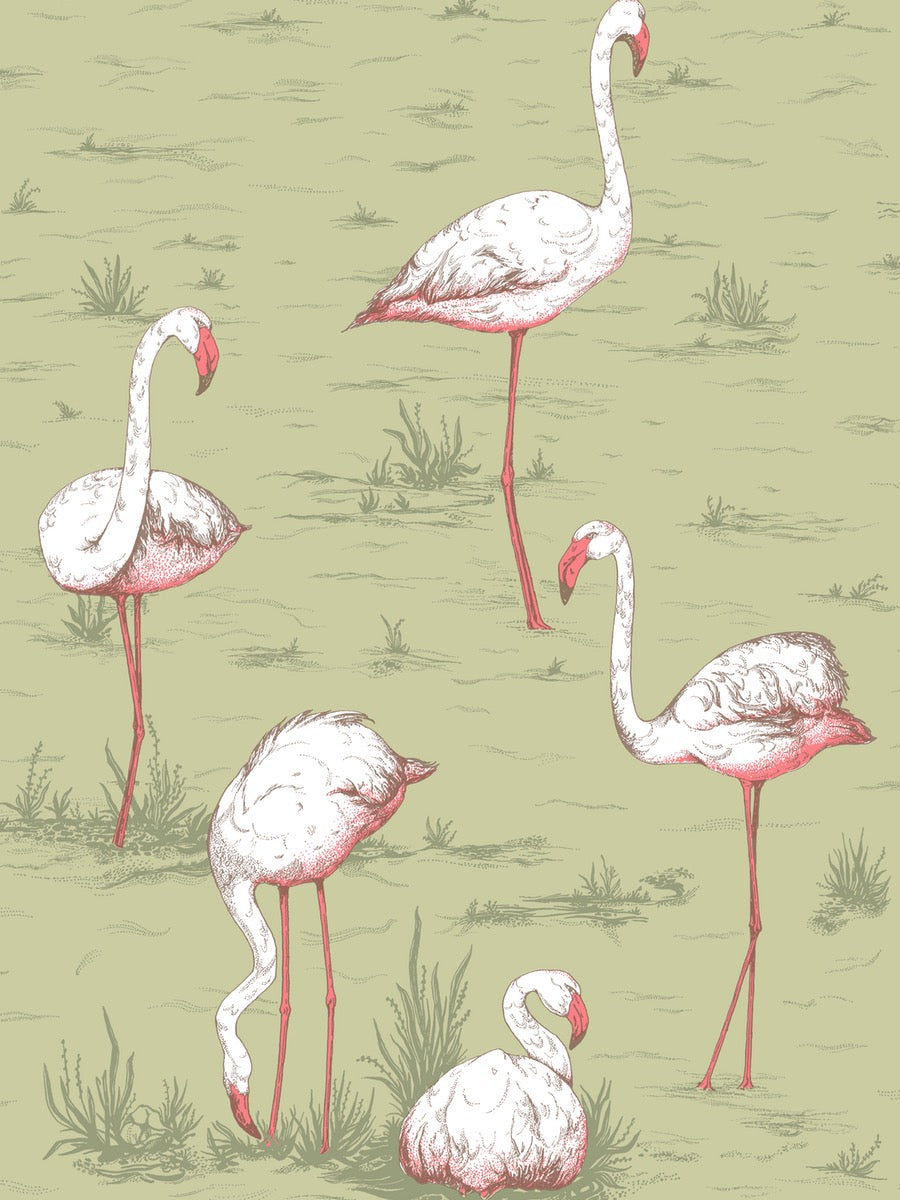 Cole & Son Icons Flamingos 11038 - 11041 - Cloudberry Living