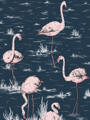 Cole & Son Icons Flamingos 11038 - 11041 - Cloudberry Living