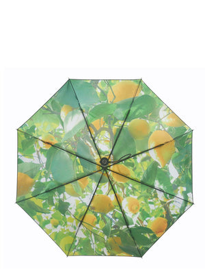 HappySweeds Umbrella, Lemon - Cloudberry Living