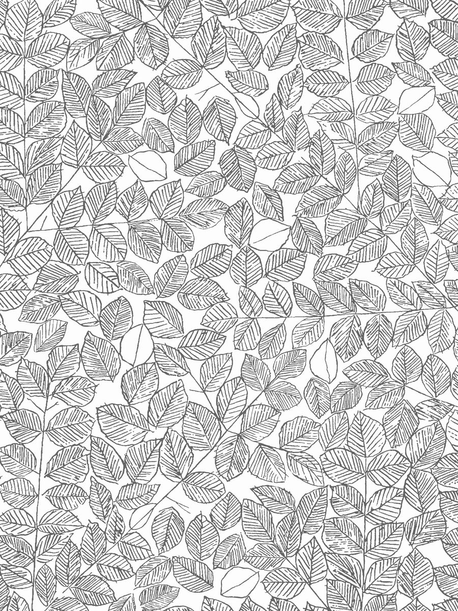 Boråstapeter Scandinavian Designers 2 Wallpaper Romans 1766 - 1769 - Cloudberry Living