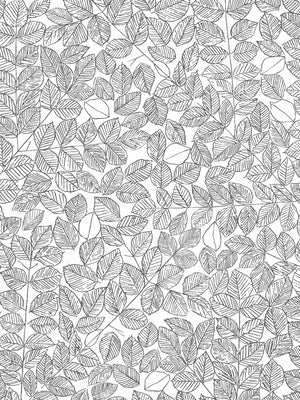 Boråstapeter Scandinavian Designers 2 Wallpaper Romans 1766 - 1769 - Cloudberry Living