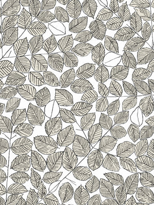 Boråstapeter Scandinavian Designers 2 Wallpaper Romans 1766 - 1769 - Cloudberry Living
