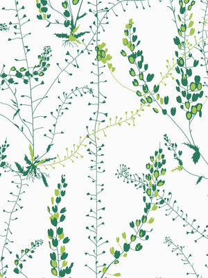 Boråstapeter Scandinavian Designers 2 Wallpaper Bladranker 1785 - 1787 - Cloudberry Living
