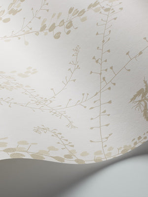 Boråstapeter Scandinavian Designers 2 Wallpaper Bladranker 1785 - 1787 - Cloudberry Living