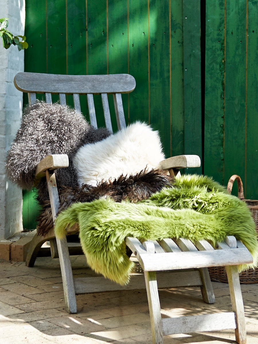 Natures Collection New Zealand Sheepskin Cushion Treetop - Cloudberry Living