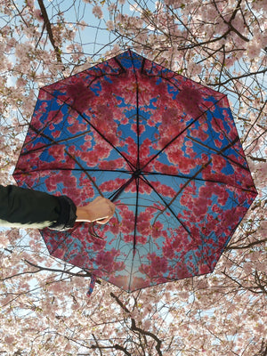 HappySweeds Umbrella Cherry Blossom - Cloudberry Living