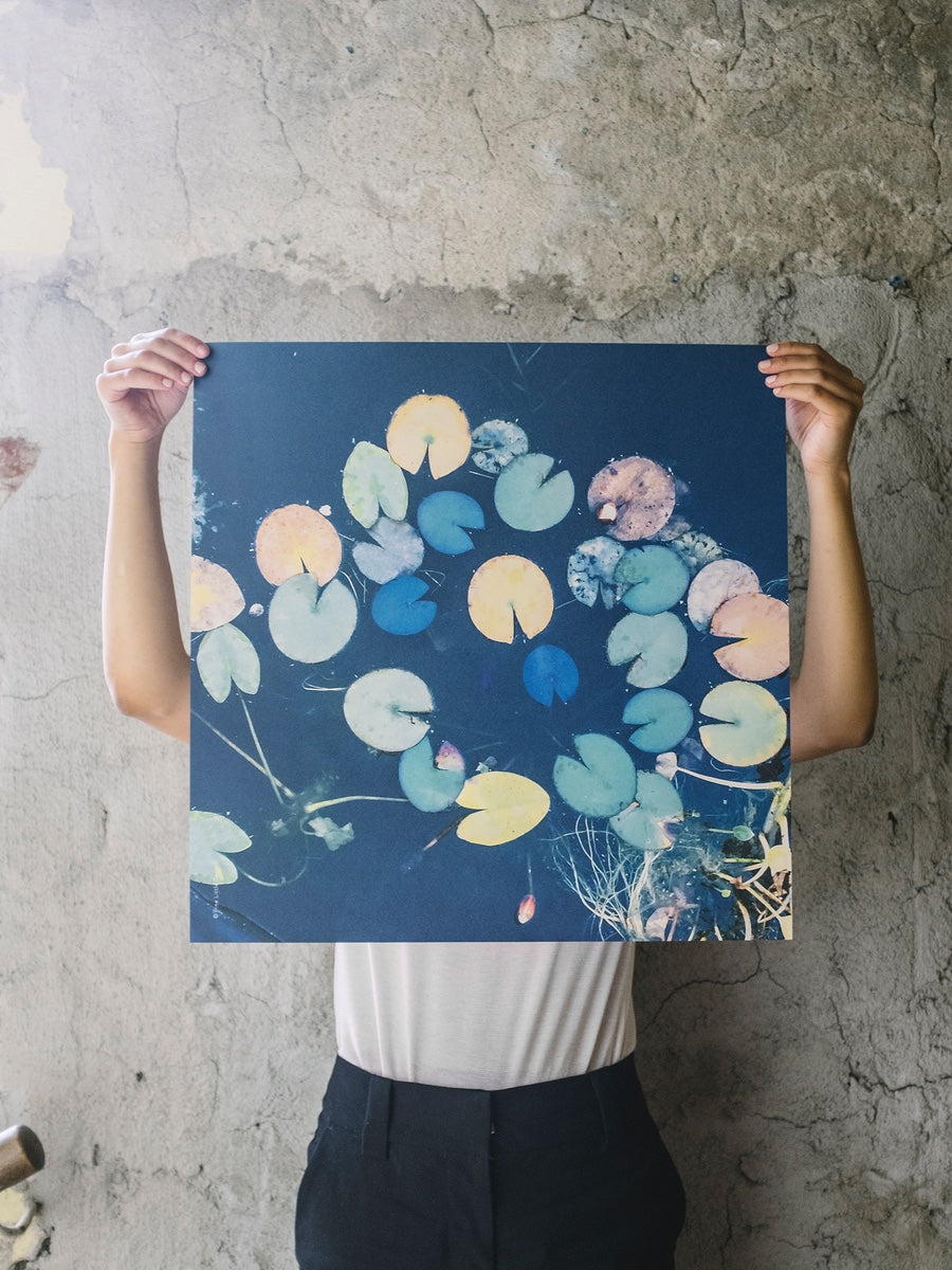 Fine Little Day Water Lilies Poster - Cloudberry Living